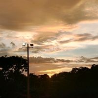 brayanguardiolaa