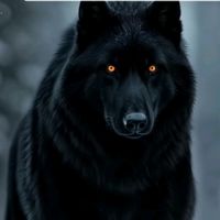 mir_samir.04