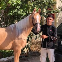 islamjaber977