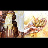 meesterstemprofetiefruit