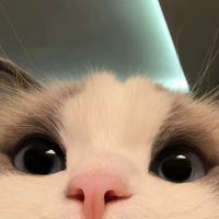 chloe._.11.21