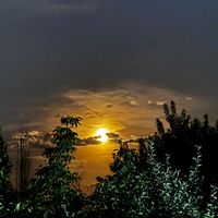 delal._61