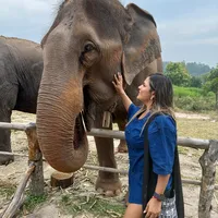 original sound - lilianaa1891