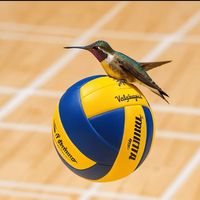 volleyball.kolibri.az