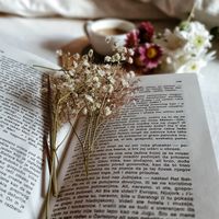 suara asli - pecintafiksi 💙🌷💐