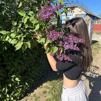 user1939484738290