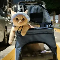 오늘 밤도 패셔니스타