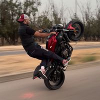 anis_rakie