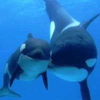 stop..seaworld