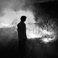 الصوت الأصلي