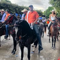 bemba416