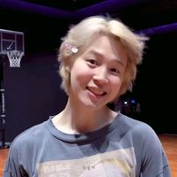 armyplinkstay112