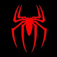 spider_9x9
