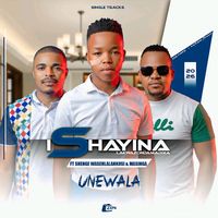 ishayinalakwazondamadixa