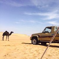 الصوت الأصلي