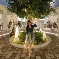 lietian2