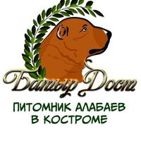 alabai_pitomnik