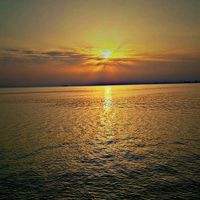 الصوت الأصلي