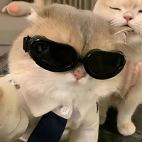 original sound - raprappostrado2