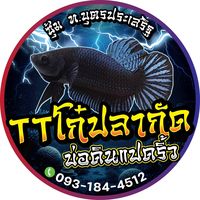 4_2_054