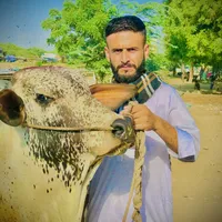 original sound - usmankhanswati17