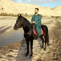 original sound - mostafa_elryaan