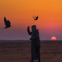 الصوت الأصلي