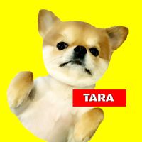 tarachoa