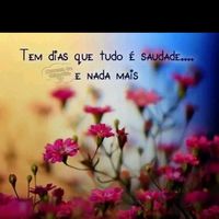 TikTok Creator - isapetrys