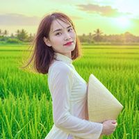 nhạc nền - Bảo Điệp - GVMN