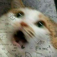 nhạc nền - 🇻🇳°music-tank°🇻🇳