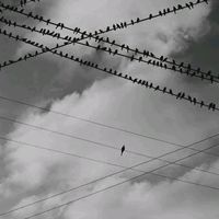 userhkgv65