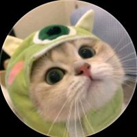 original sound - P🌿