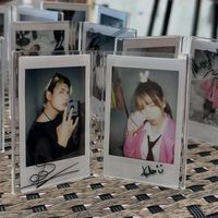 nicha_25.2