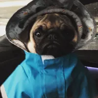 original sound - oramaw