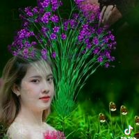 សំឡេងដើម - លីណាកំពង់ធំ