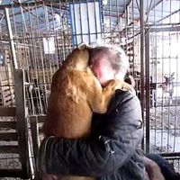 оригинальный звук - Я Живой 59