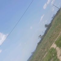 josy.159