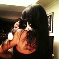 오리지널 사운드 - 대구 다은