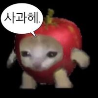 오리지널 사운드 - 🎶☑️