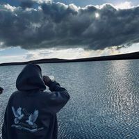 oscar_13431
