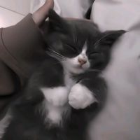 오리지널 사운드 - 김청명 부인