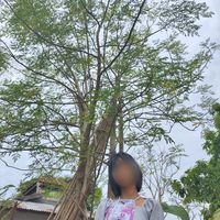 khin33731