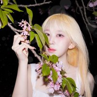 오리지널 사운드 - 예쯍이🦁