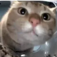 original sound - lolosh_animatior