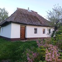 оригінальний звук