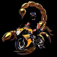 scorpion.marocco