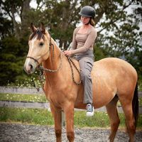ellagarlick.showjumping