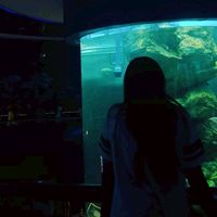 kqnchanitt_