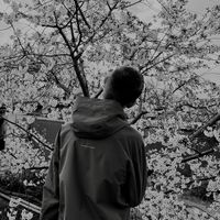 _krivobok099_3